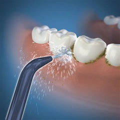 Waterpik Handheld Cordless Precision Low-Flow Tip – (JT-360E)