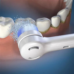 Waterpik Triple Clean Replacement Brush Heads - White – White (OTRB-3WW)